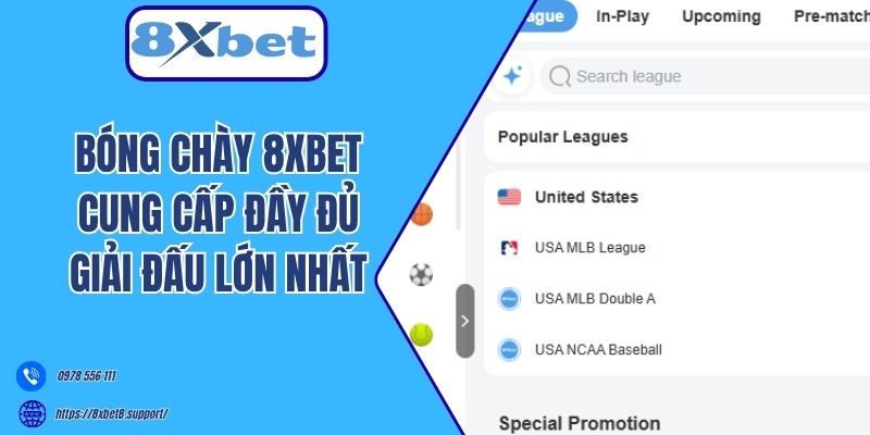 Bóng chày 8xbet cung cấp đầy đủ giải đấu lớn nhất 
