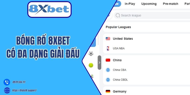 Bóng rổ 8xbet có đa dạng giải đấu 