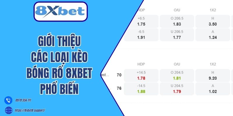 Giới thiệu các loại kèo bóng rổ 8xbet phổ biến 